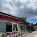 장수버섯샤브샤브 | 파주 헤이리프로방스 근처 숨은 찐맛집, 내돈내산 다원버섯샤브샤브 솔직 후기(꼭 가세요..)