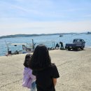 창리해상낚시터 | 2024.05.04 서산 해상펜션