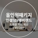 인셀덤 ALL