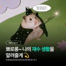 이투스수학학원 | 연세대, 서강대, 성균관대 정시 3관왕 합격생의 이투스 이천기숙학원후기!
