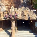 성류굴 관광지 | 성류굴 여행 후기. 지하금강에서 다시 피어난 노부부의 사랑 이야기