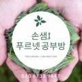 푸르넷손쌤공부방