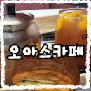 용인 &#39;오아스 카페&#39; 솔직 후기! 반려동물 동반 가능한 자연 힐링 뷰 맛집