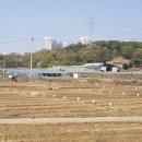 남양주 ‘2026 정약용 도시텃밭’ 333구좌 분양-27일부터 신청 이미지