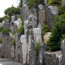 아산조경
