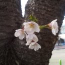 위천 당산농공단지 이미지