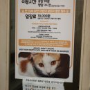 집사의하루 혜화점 이미지