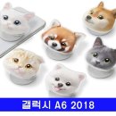 멍냥이 스토리 이미지