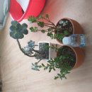 육육구삼 이미지