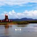 남악수변공원 이미지