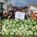 안성면100 이미지