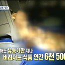 버릴까? 먹을까? 유통기한 바로 알기 이미지