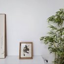 수원-1395 이미지