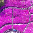 군포-산본-2018 이미지