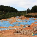 우정제방 이미지