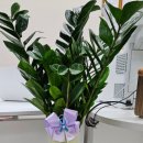 공인중개사사무소 지장고 이미지