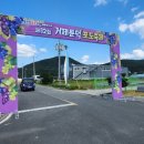 전국렌탈