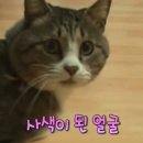 수페이스
