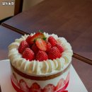 모모농장 | 월등농장 추천 / 전남 티라미수