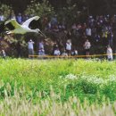 예산황새공원 주차장 이미지