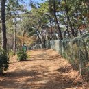 인간존재를 위하여 이미지