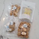 멍청하개 이미지