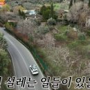 최원영농장 이미지