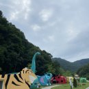 충주유기농체험교육센터 | [충주유기농체험교육센터] 귀여운 고양이방 숙박 🛌