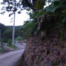 반송농장 이미지