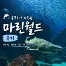 돌고래식당 | 후쿠오카 수족관 마린월드 우미노나카미치 후기 : 가는 법, 입장료, 돌고래쇼, 식당까지