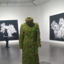 베테랑쌀국수 이미지