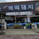 고씨네꺼먹돼지 이미지