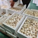 석성농장 이미지