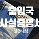 채무자의 출입국사실관계증명신청 판결문으론 불가 이미지