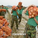 육군제8623부대 연합뉴스