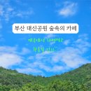 숲속 이미지