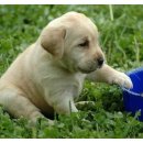 25시 종합동물병원 이미지