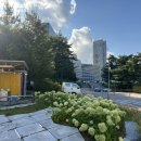 주식회사 평창갈비 | 평창 휘닉스파크 포레스트캠핑 대신, 셀프 바베큐 캠프닉 (캠핑+피크닉)