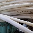 대일상회 이미지