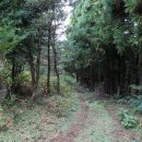 동광리-9 이미지