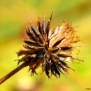 서리내농장 이미지