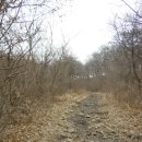 금계로1 이미지