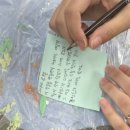 수일여자중학교 이미지