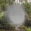 숲길신경과의원 이미지