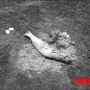 갯벌정원 이미지