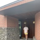 비비정지 이미지