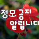 11월정모 공지 이미지