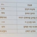 바이소 이미지