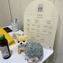 한양제일유치원 | 잠실 석촌 송파 강아지 유치원 호텔링 데이케어 소형견 꼬순유치원