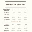 리본반려견 유치원 이미지